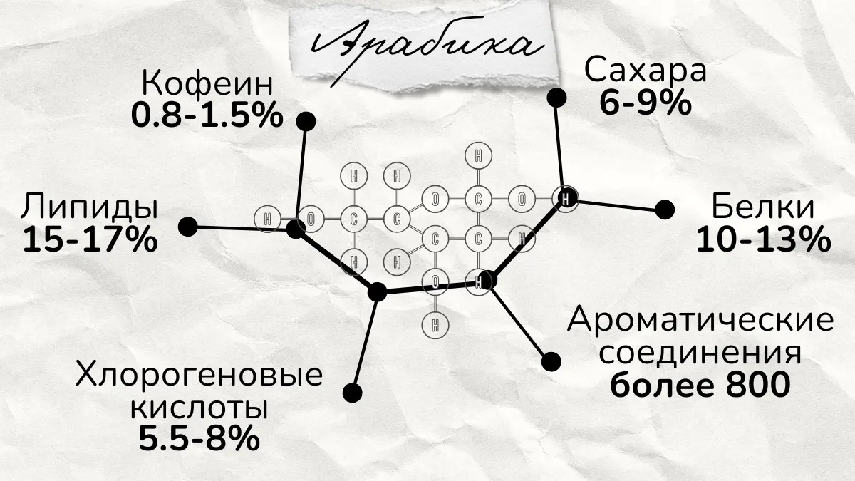 Химический состав арабики