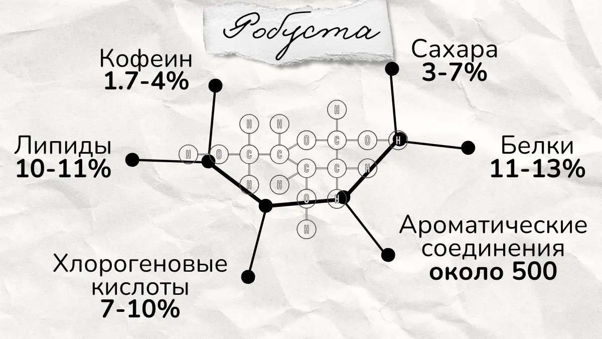 Химический состав робусты