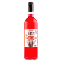 Сироп WTS?! Арбуз, 1л