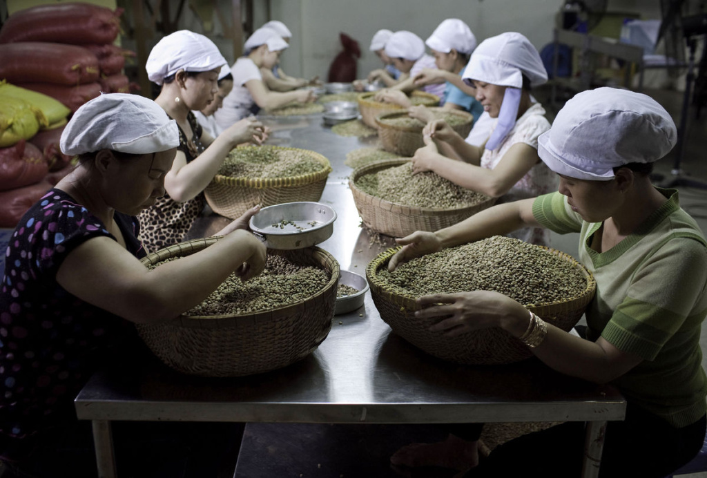Обработка кофе во Вьетнаме