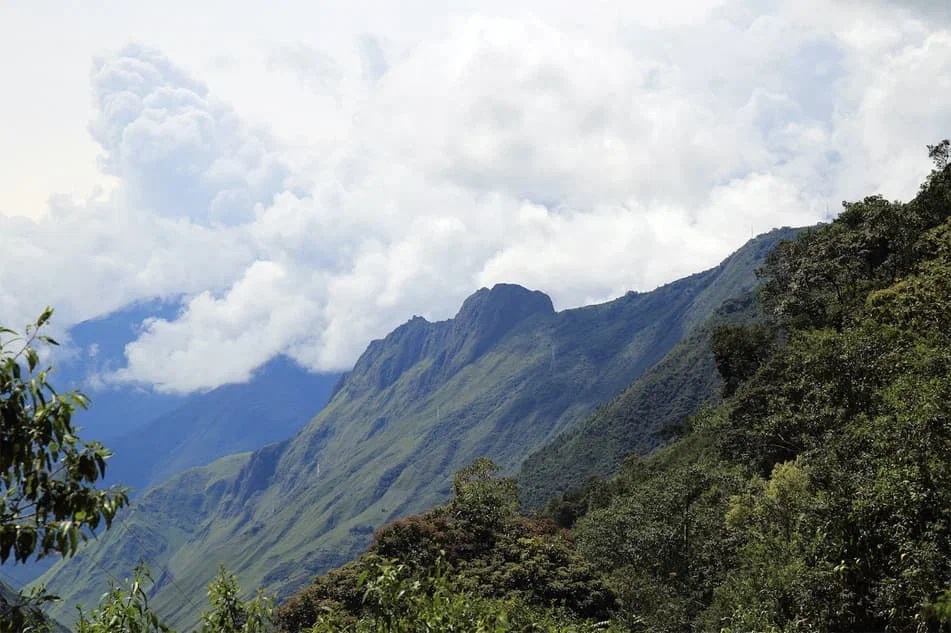 Виды Перуанских плантаций