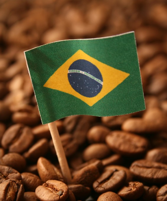 Флаг Бразилии в зерне - как символ кофейной державы