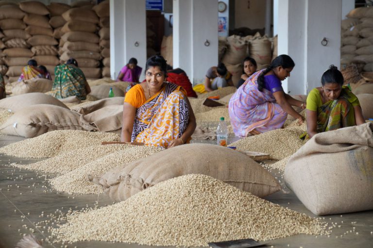 Производство кофе в Индии